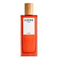 Loewe Solo Atlas