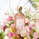 Guerlain Aqua Allegoria Pera Granita