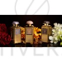 Aerin Lauder Evening Rose d'Or