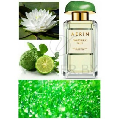 Aerin Lauder Waterlily Sun Vetiver.by