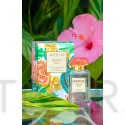 Aerin Lauder Hibiscus Palm