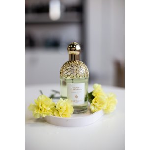 Guerlain Aqua Allegoria Nerolia Vetiver