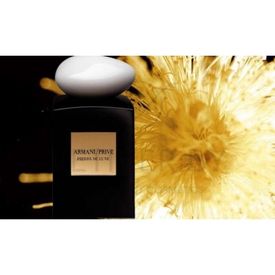 Armani pierre de online lune