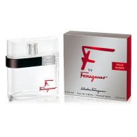 Salvatore Ferragamo F By Homme