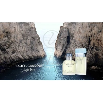 light blue dolce and gabbana eau de parfum
