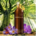 Montale Aoud Safran