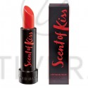 Armand Basi Scent Of Kiss