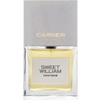 Carner Barcelona Sweet William