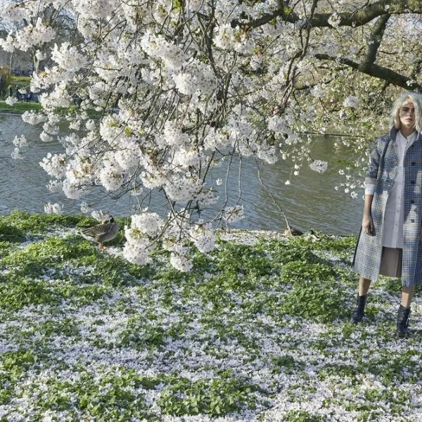 Burberry Burberry Her Blossom туалетная вода