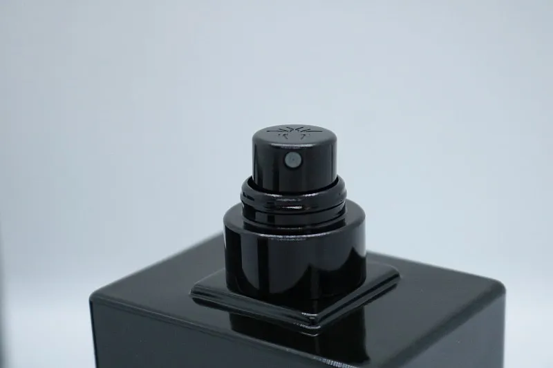 Christian Dior Homme Parfum 2025