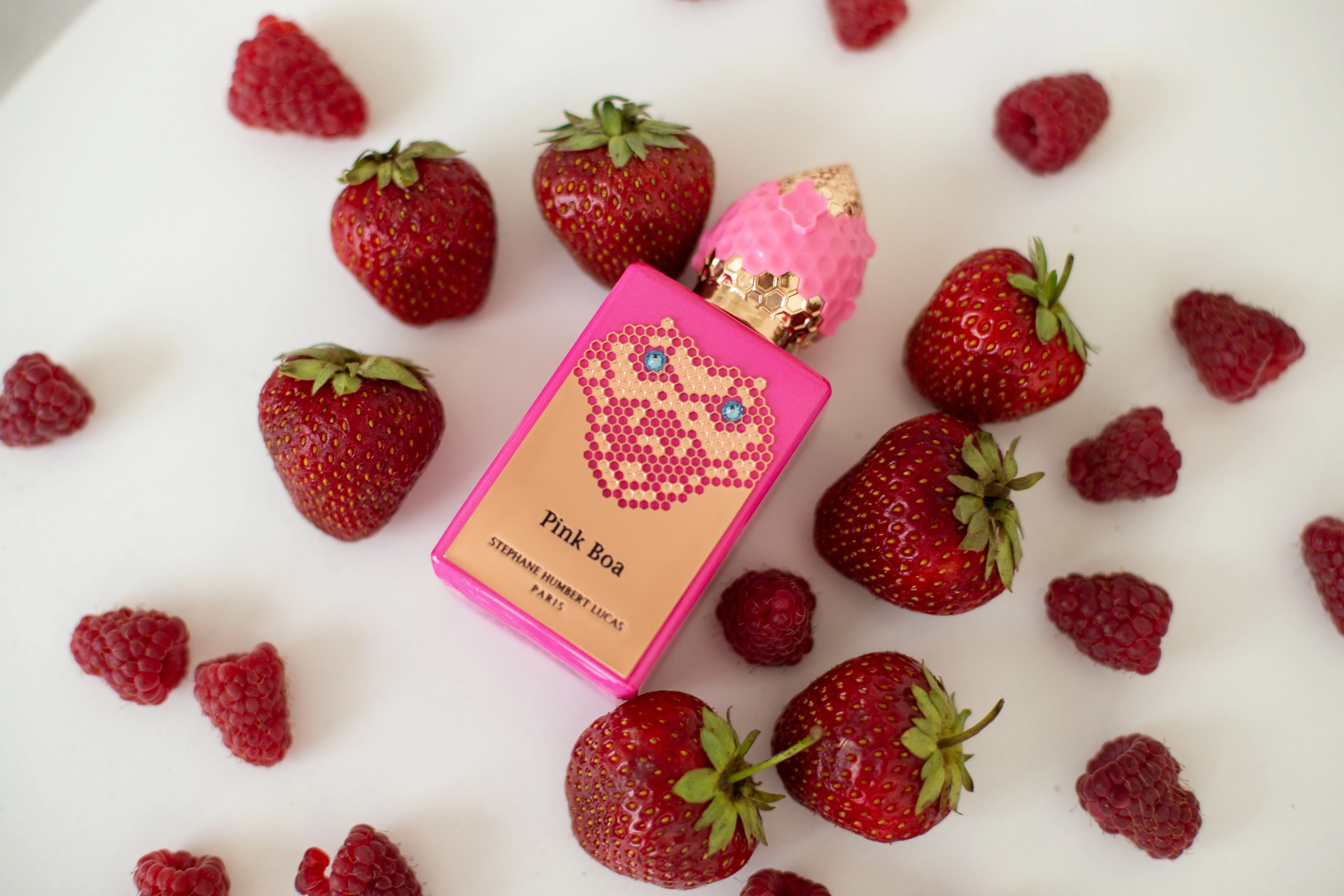 Stephane Humbert Lucas 777 Pink Boa