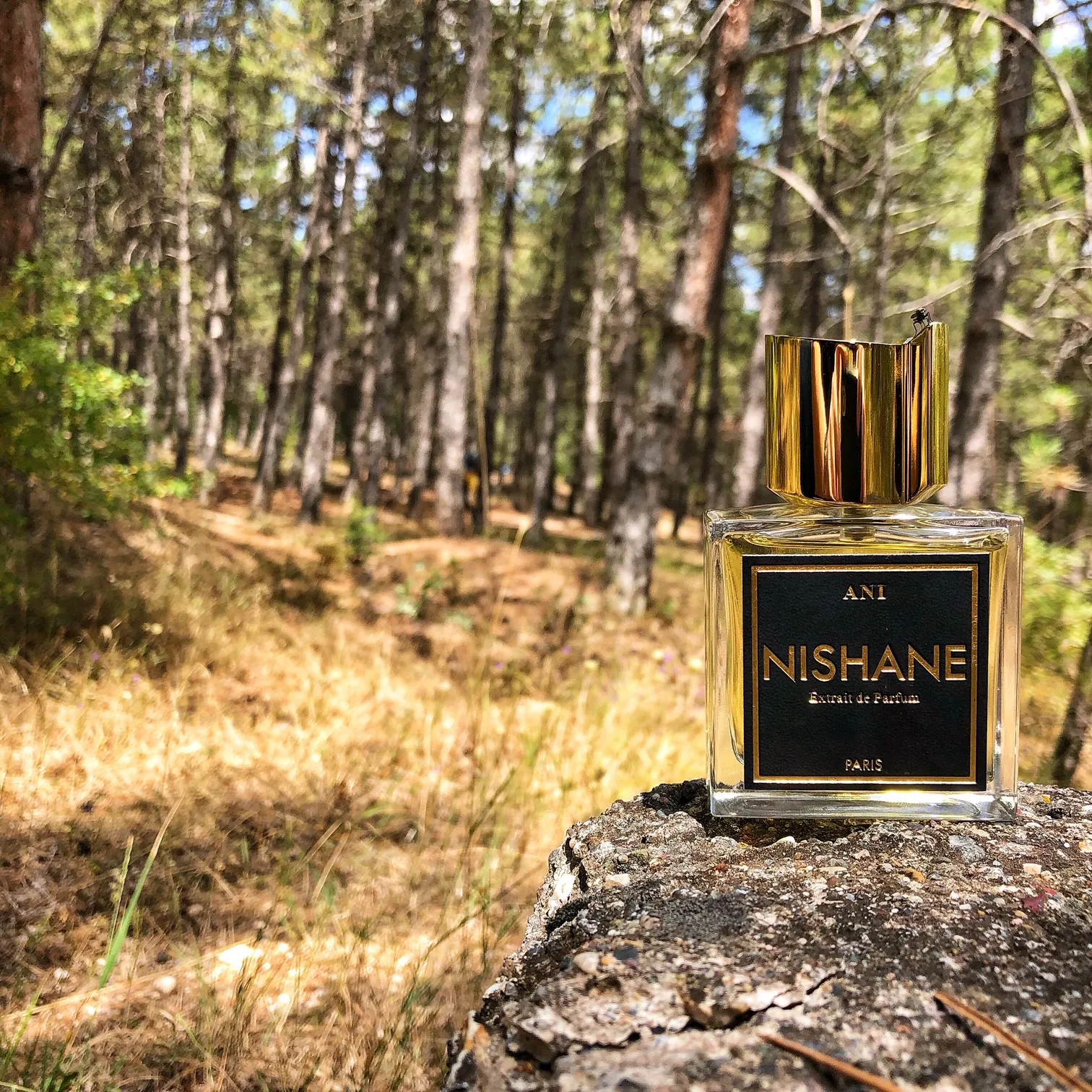 Nishane Ani духи