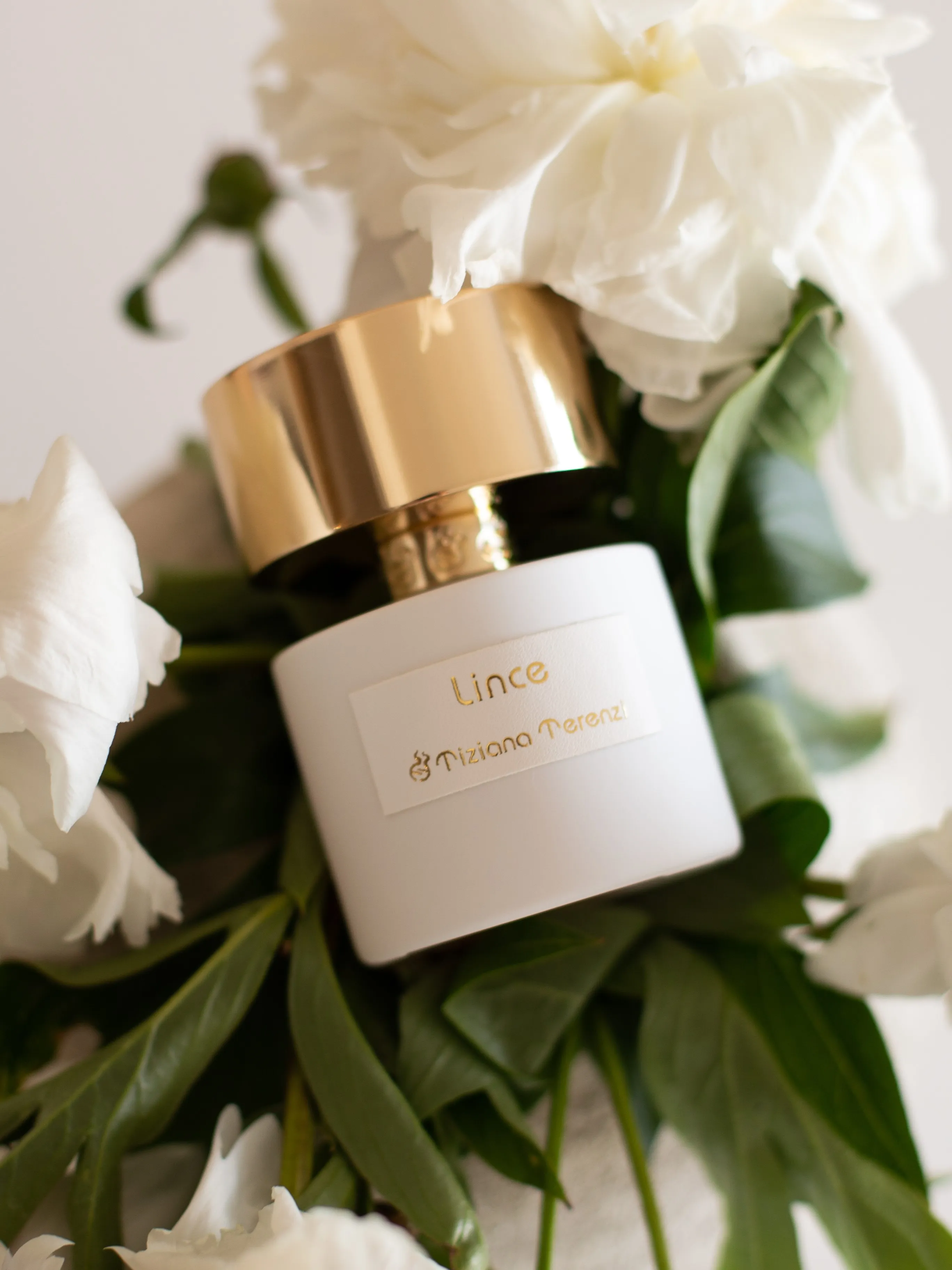 Tiziana Terenzi Lince