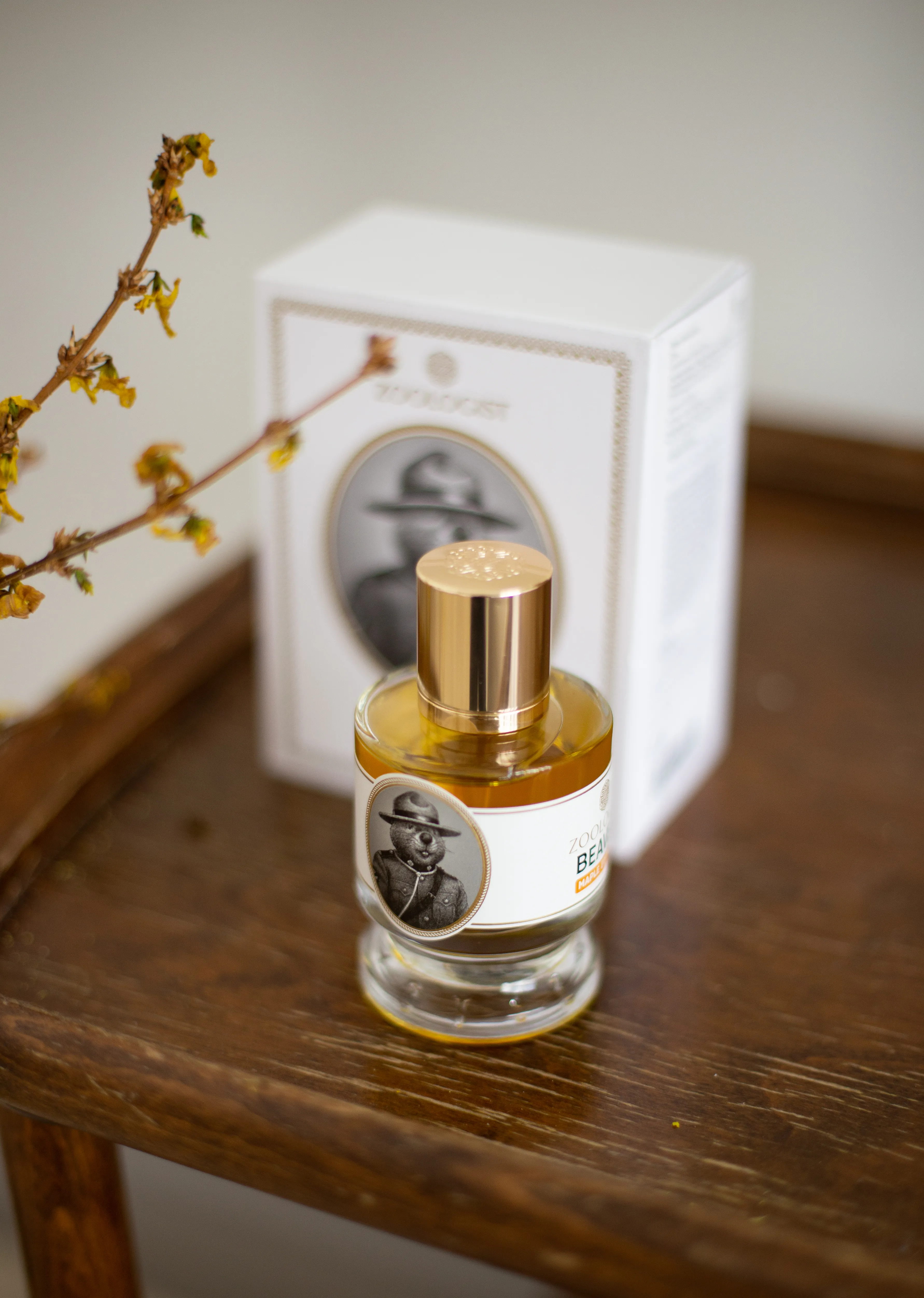 Zoologist Beaver Maple Edition