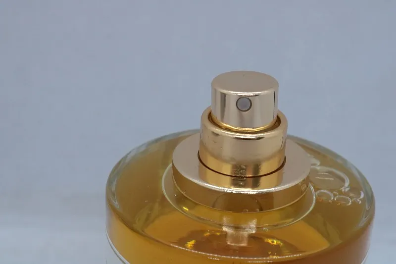 Zoologist Beaver Maple Edition