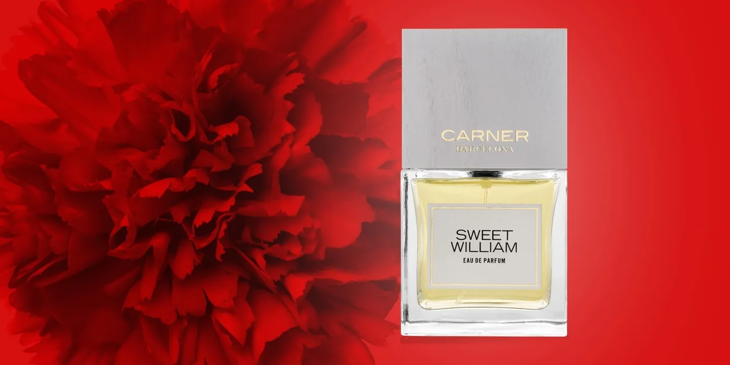 Carner Barcelona Sweet William парфюмерная вода