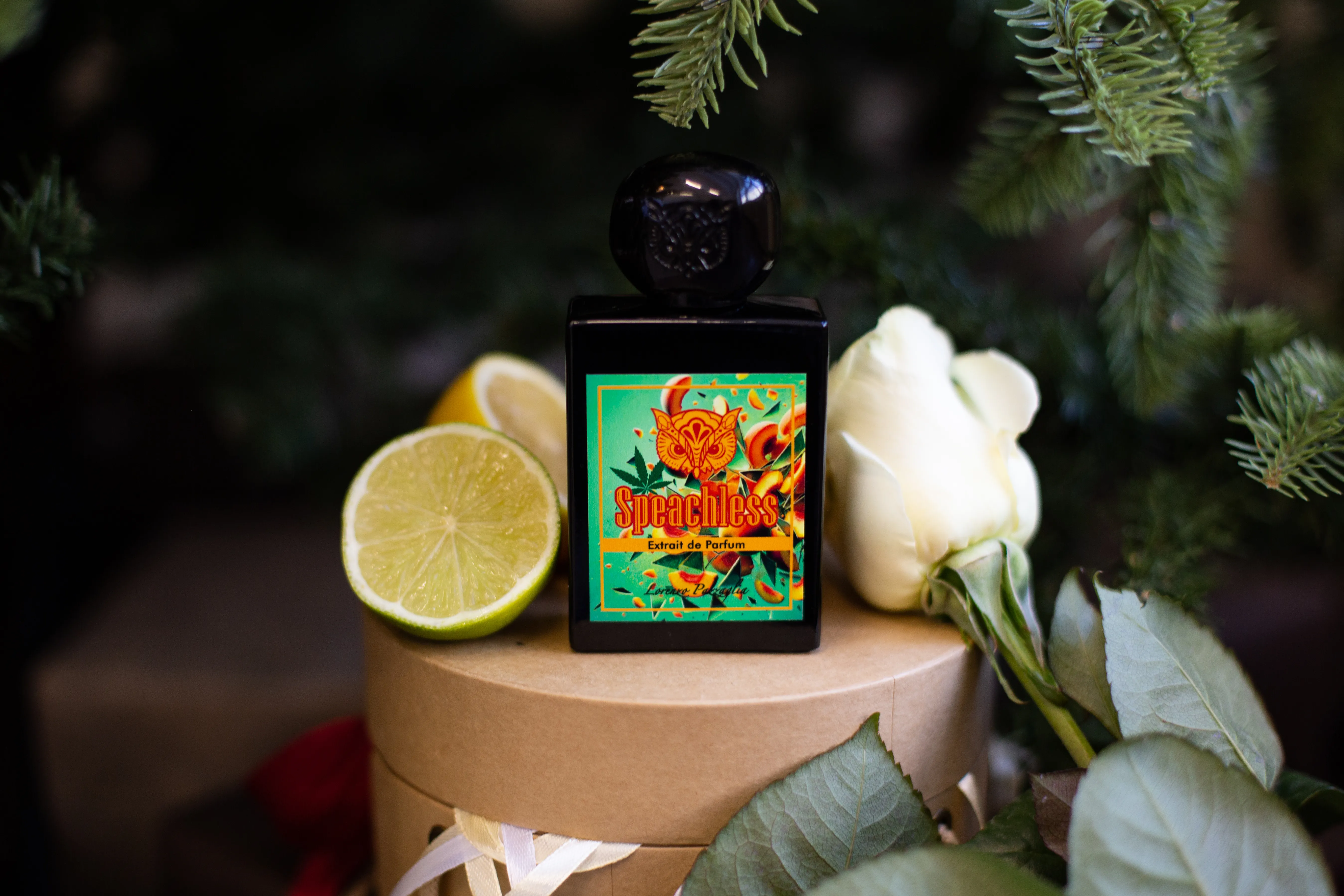 Lorenzo Pazzaglia Speachless