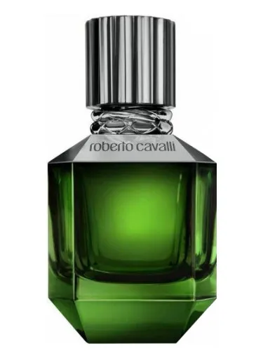 Roberto Cavalli Paradise Found for Men