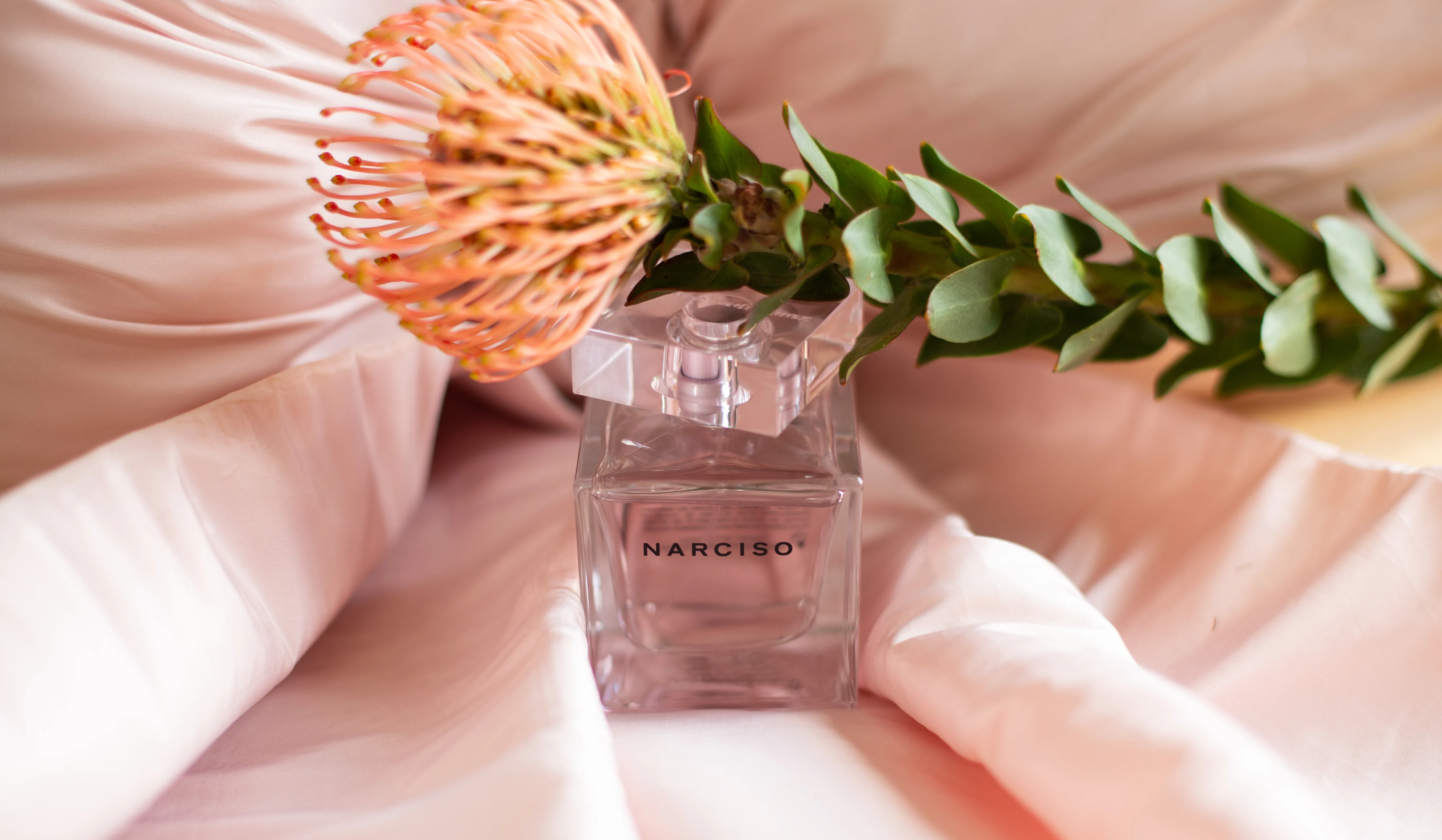 Narciso Rodriguez Narciso Radiante
