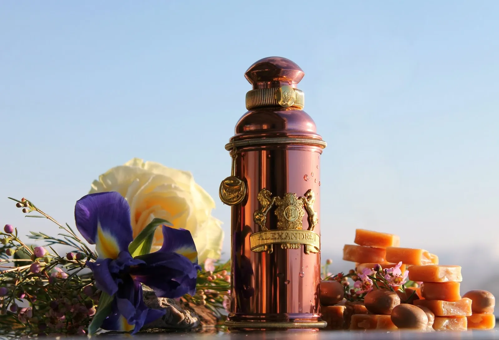 Alexandre J Morning Muscs парфюмерная вода