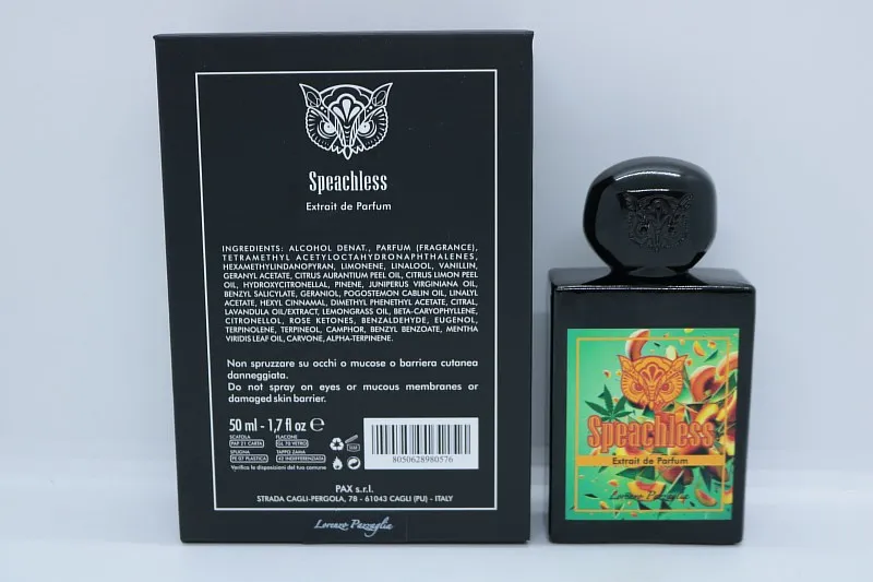 Lorenzo Pazzaglia Speachless