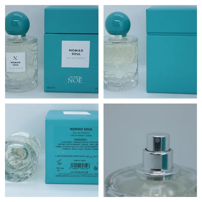 Les Soeurs de Noe Nomad Soul