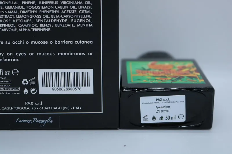 Lorenzo Pazzaglia Speachless