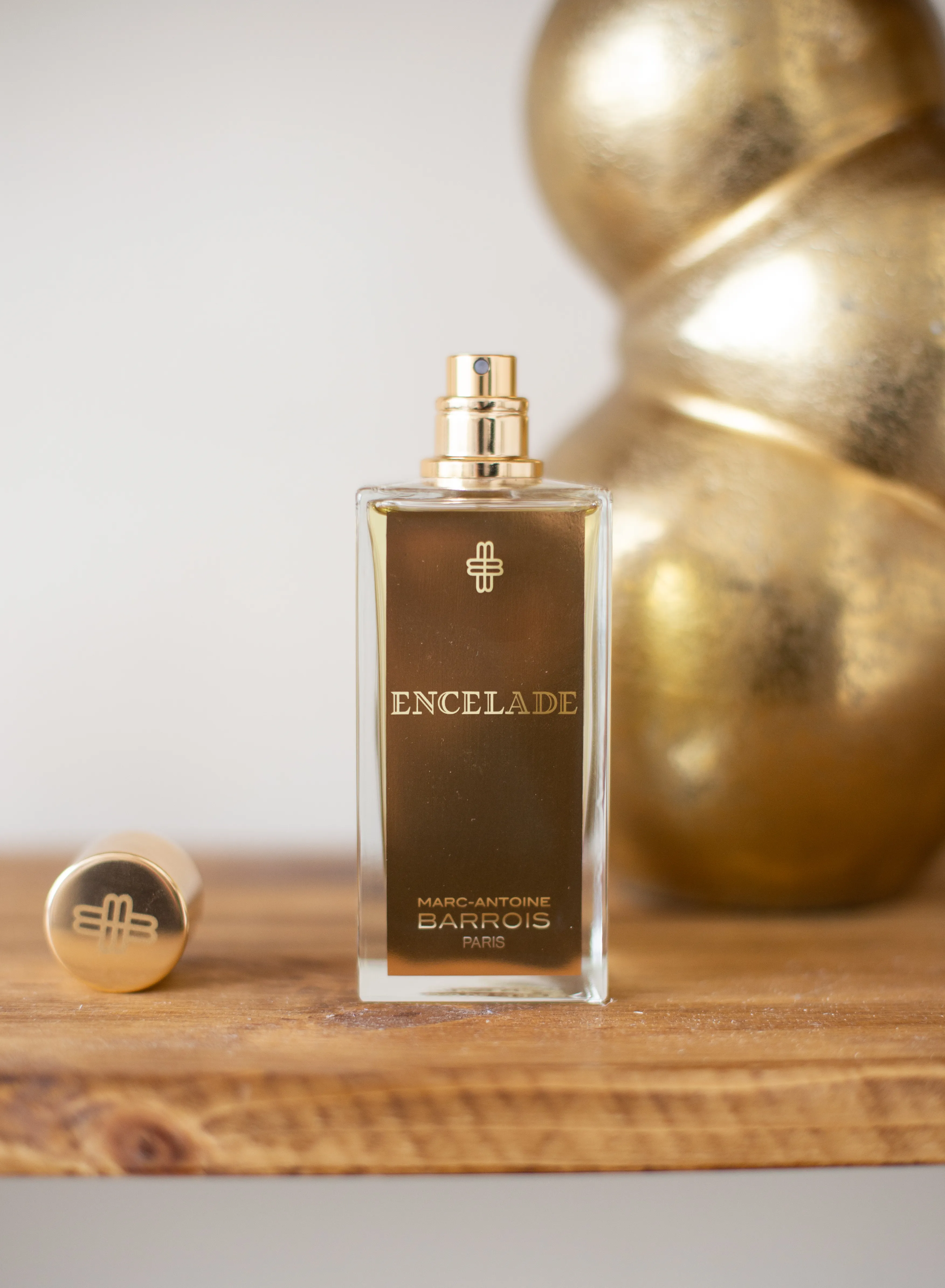 Marc-Antoine Barrois Encelade