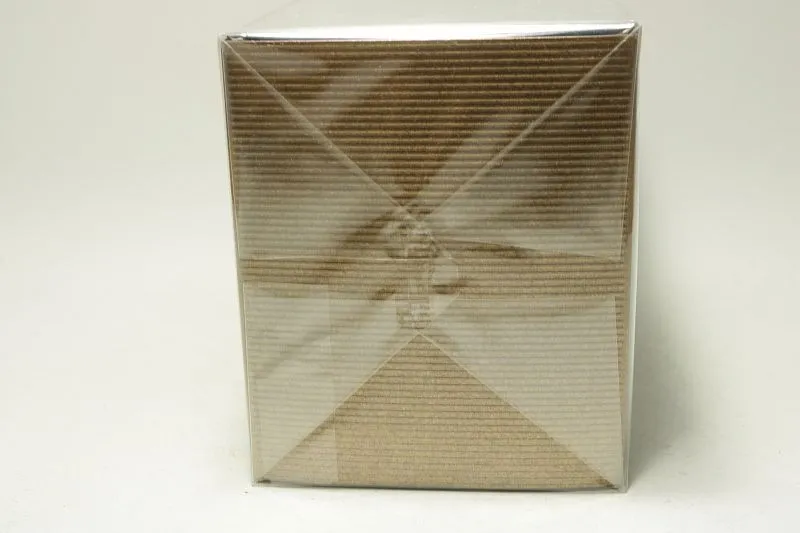 Angel Schlesser Homme Oriental туалетная вода