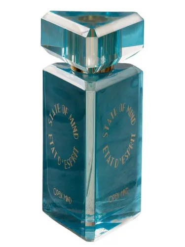 State of Mind Open Mind