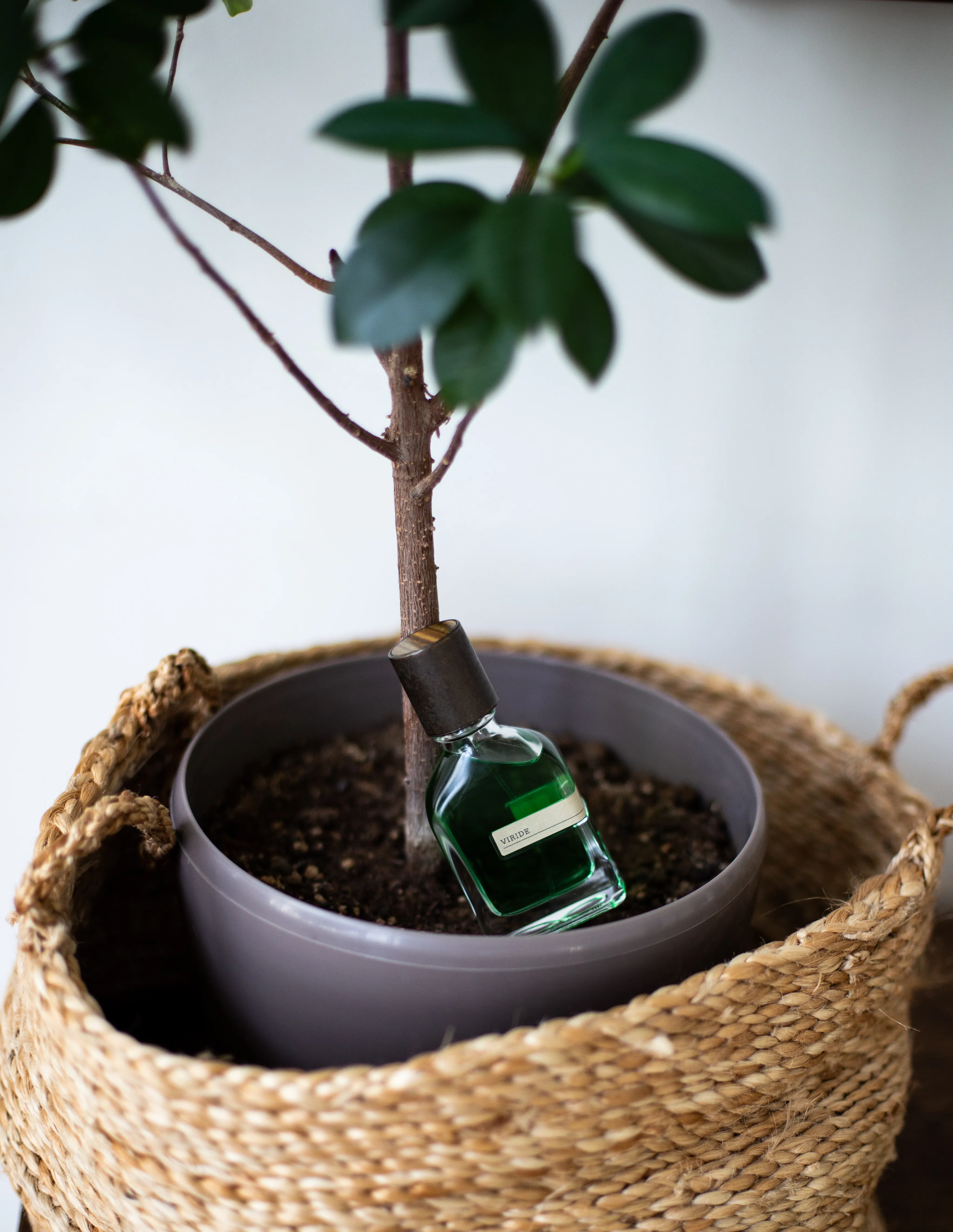 Orto Parisi Viride парфюмерная вода