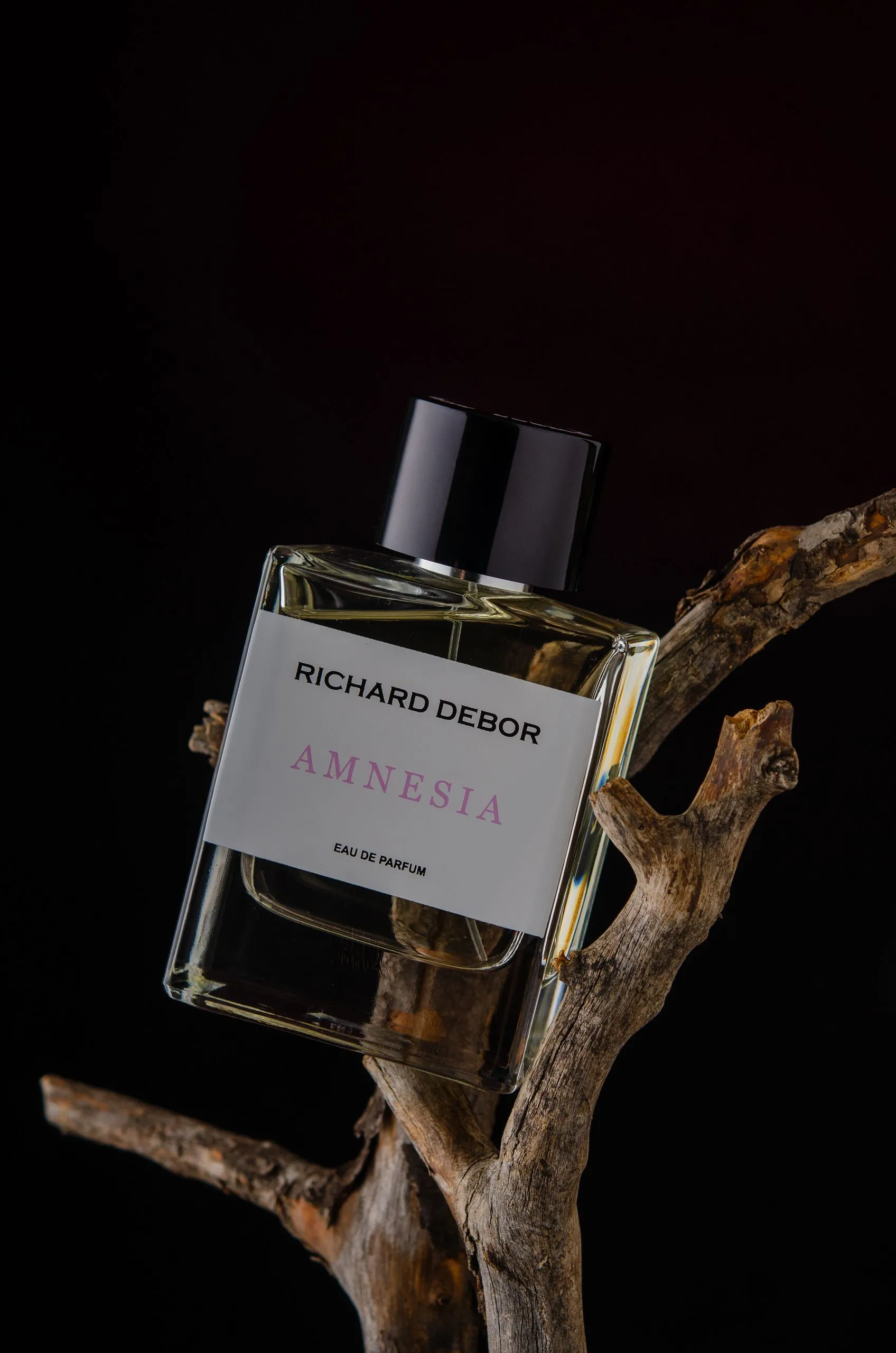 Richard Debor Amnesia