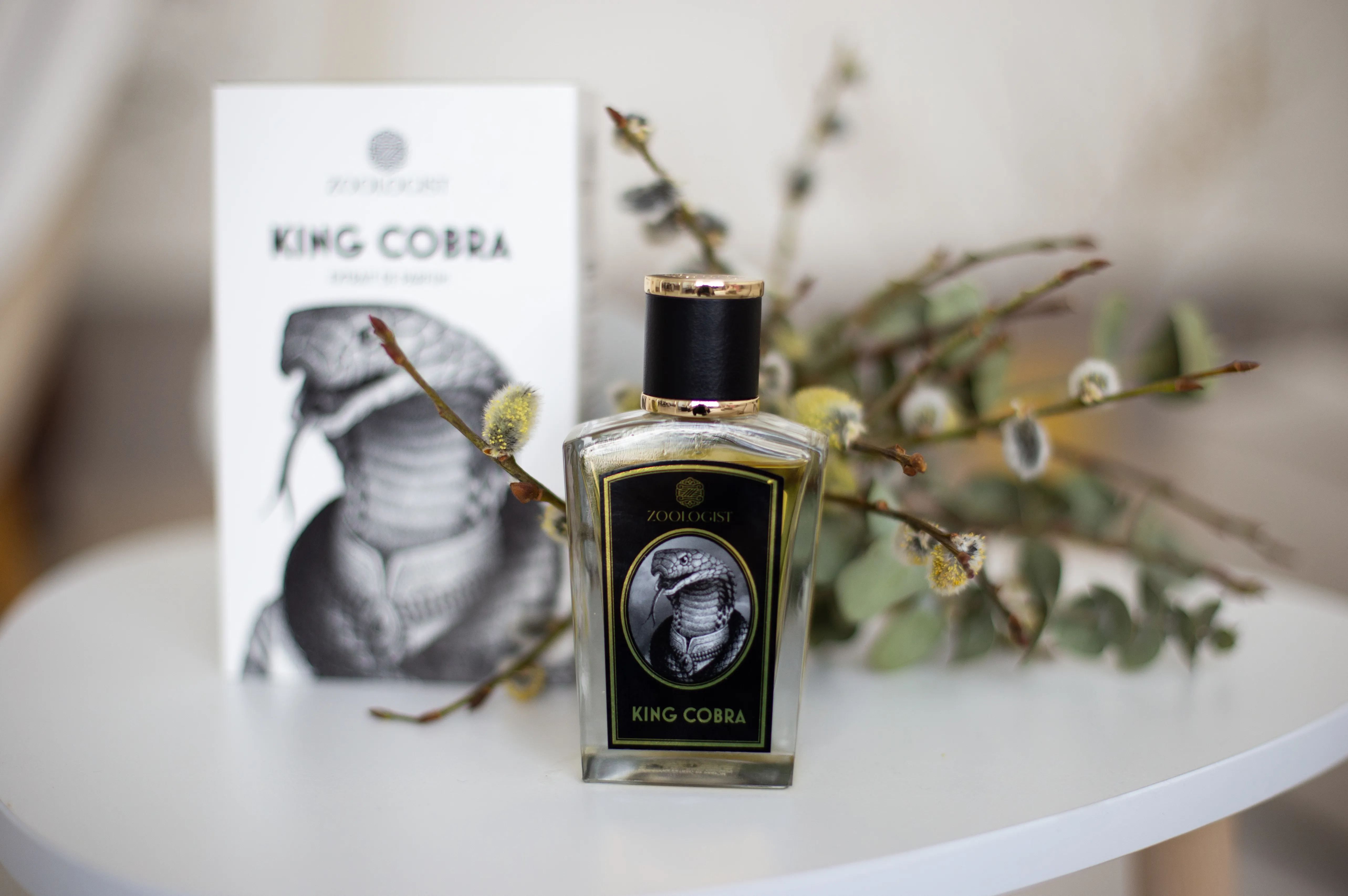 Zoologist King Cobra