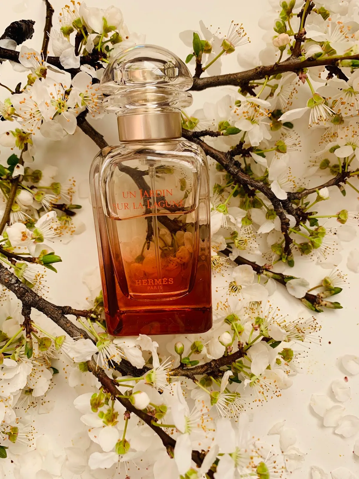 Hermes Un Jardin Sur La Lagune туалетная вода