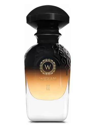 WIDIAN Black II