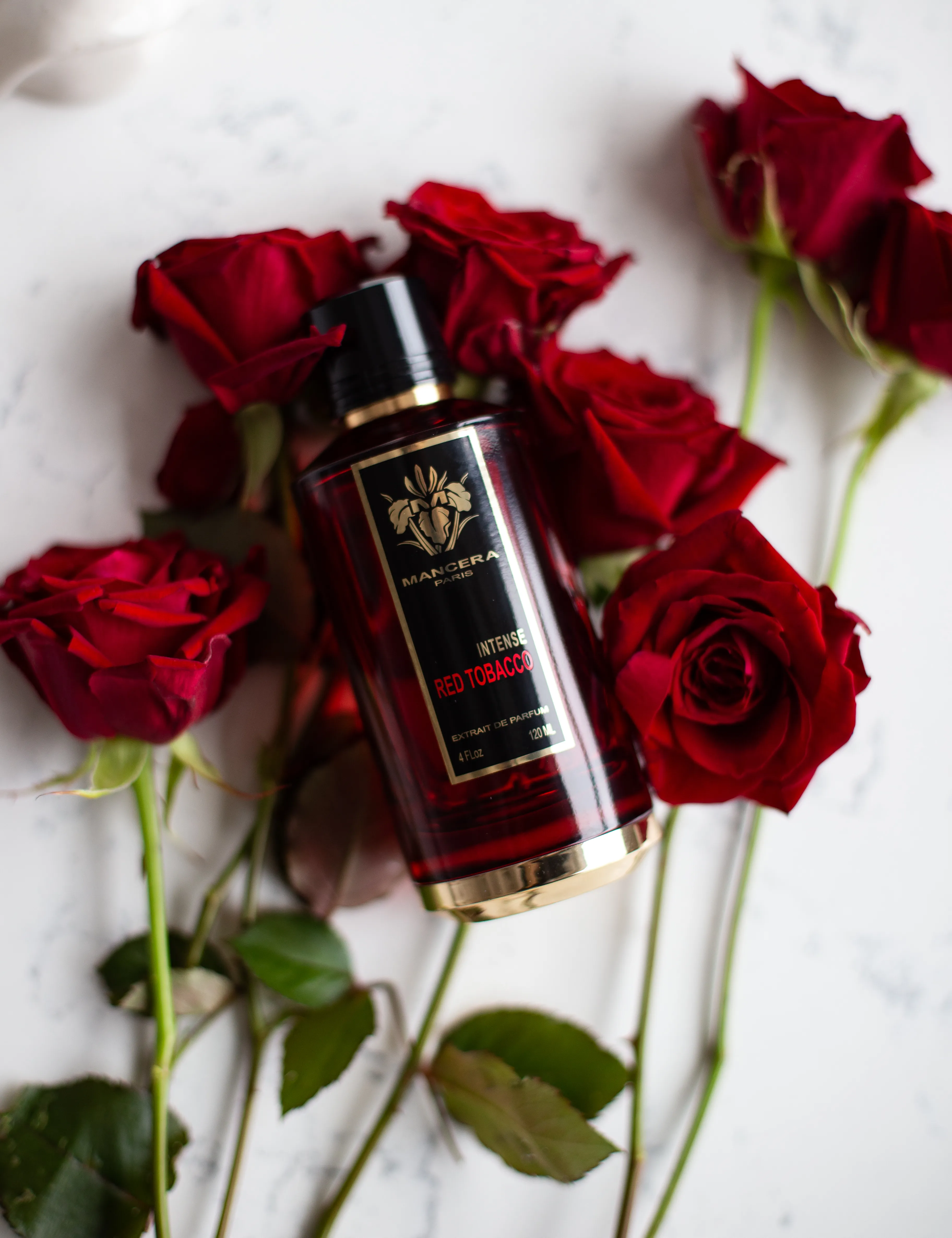 Mancera Intense Red Tobacco