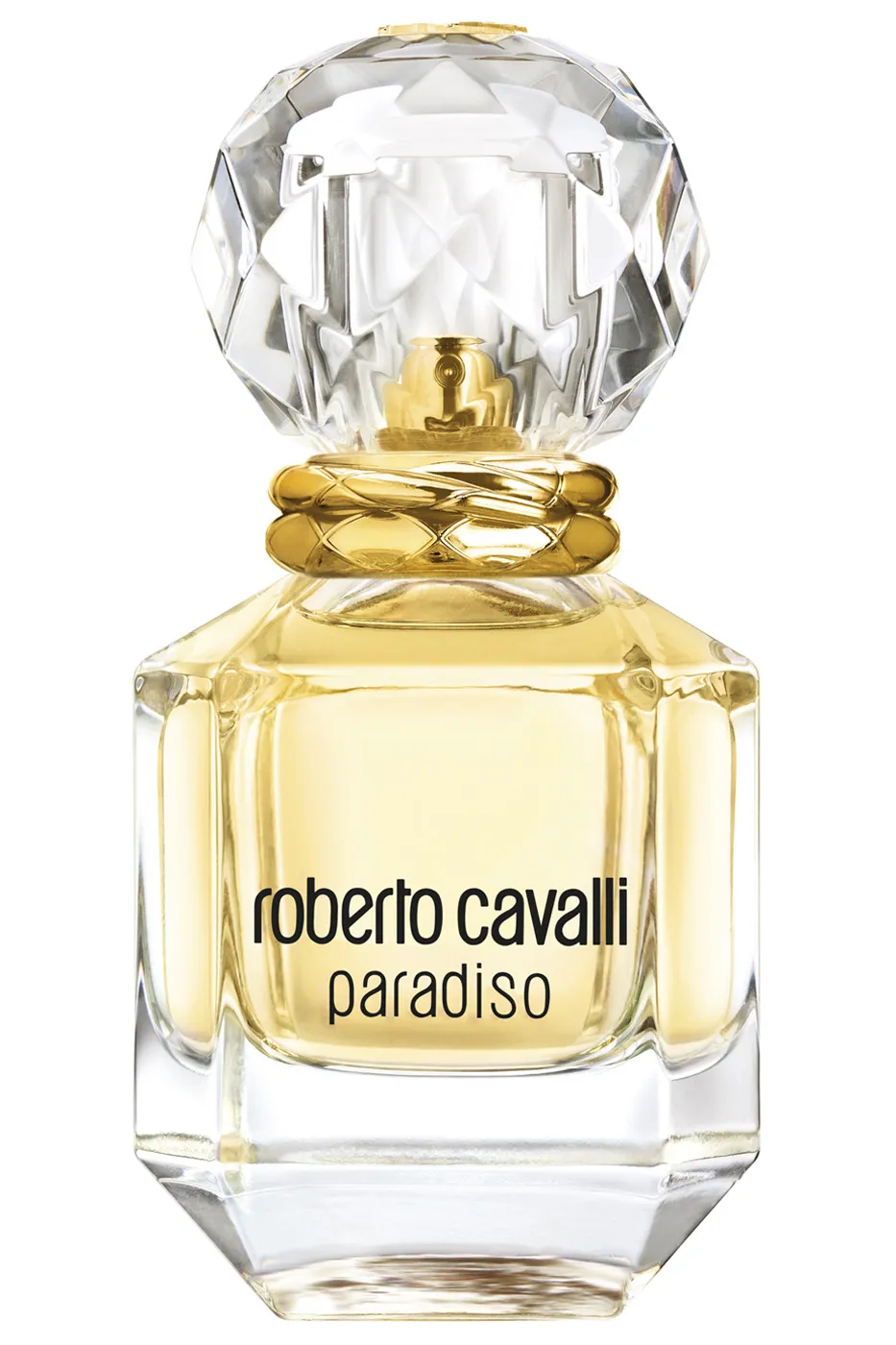 Roberto Cavalli Paradiso