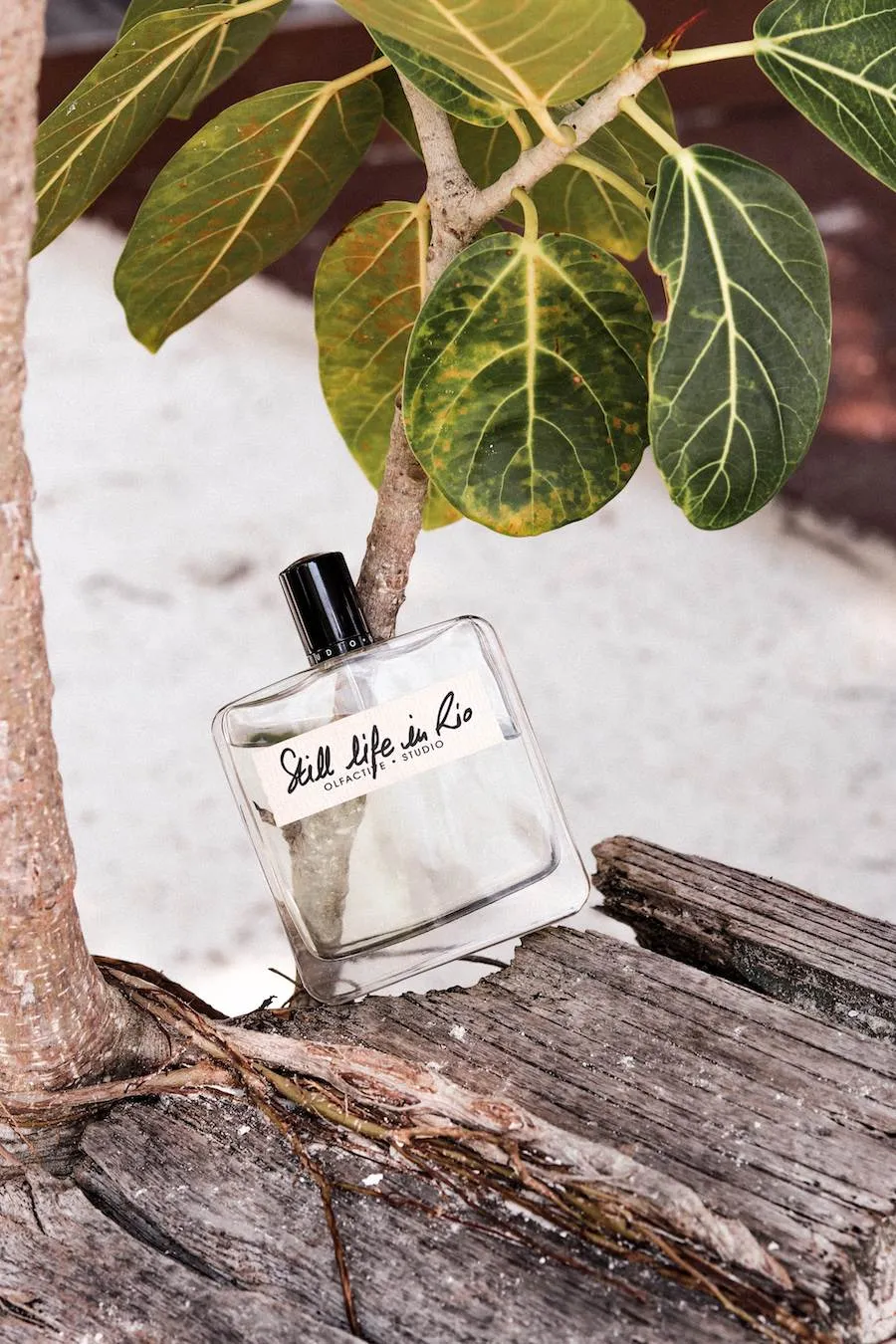 Olfactive Studio Still Life in Rio парфюмерная вода