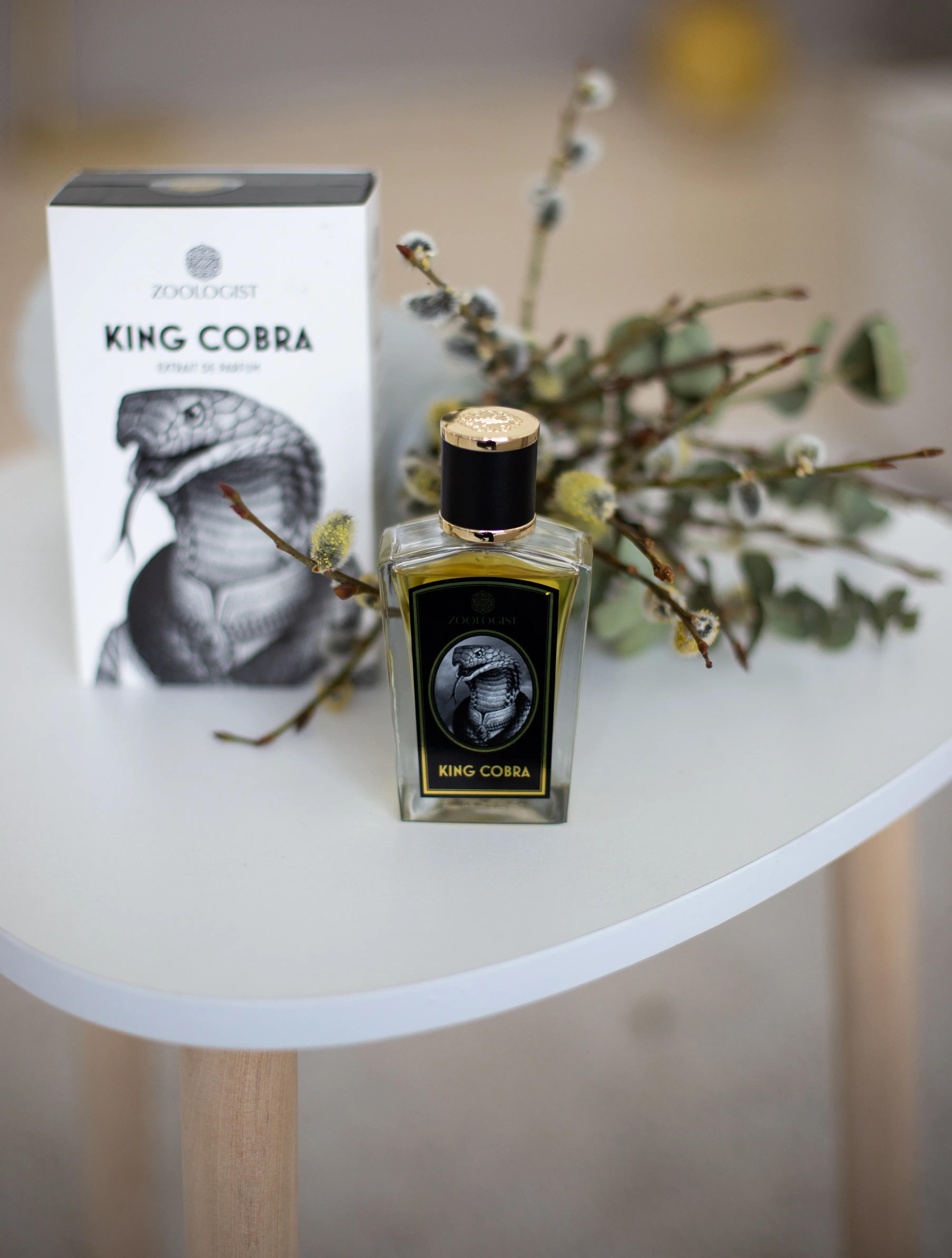 Zoologist King Cobra