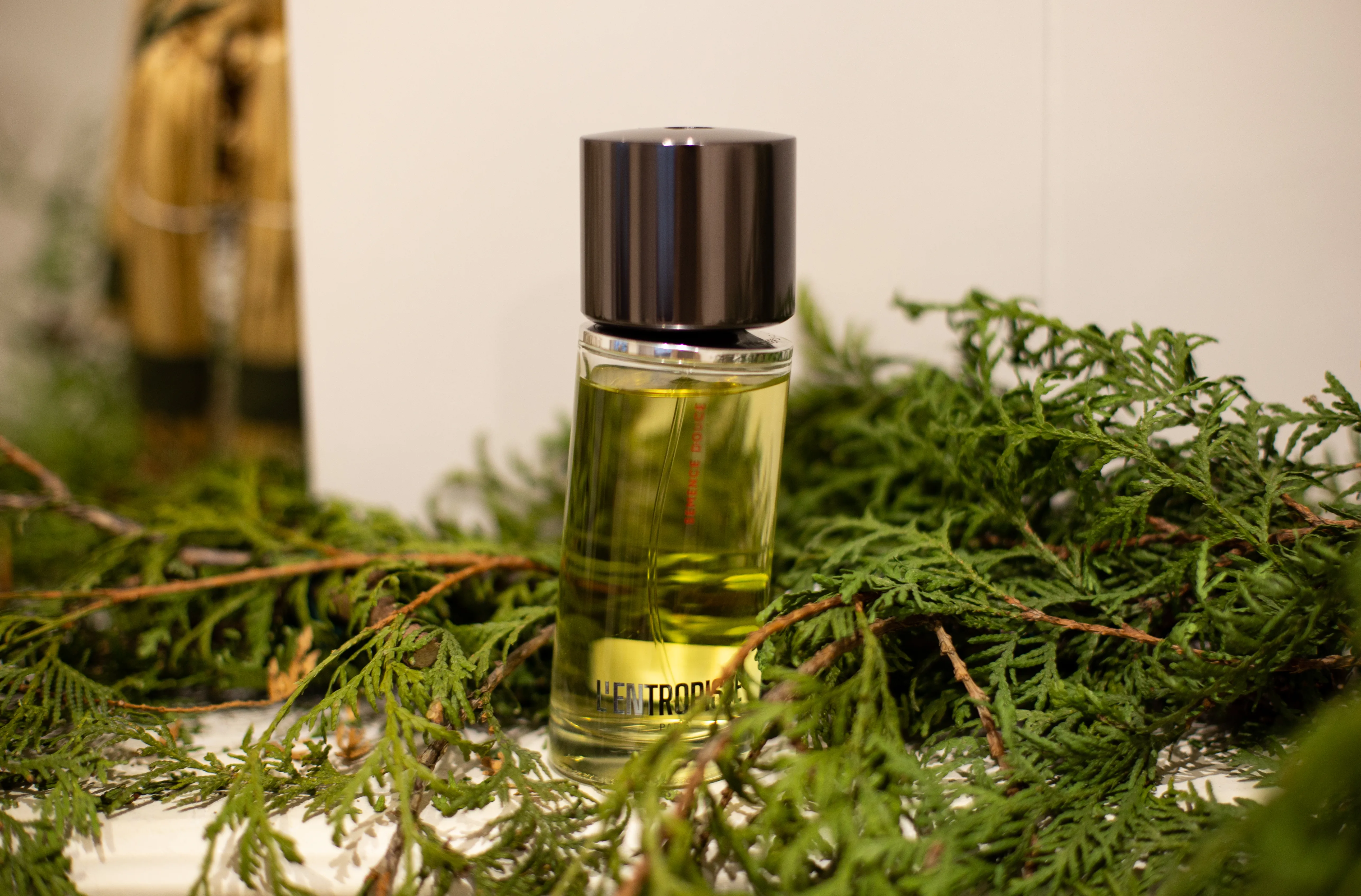 L’Entropiste Semence Douce