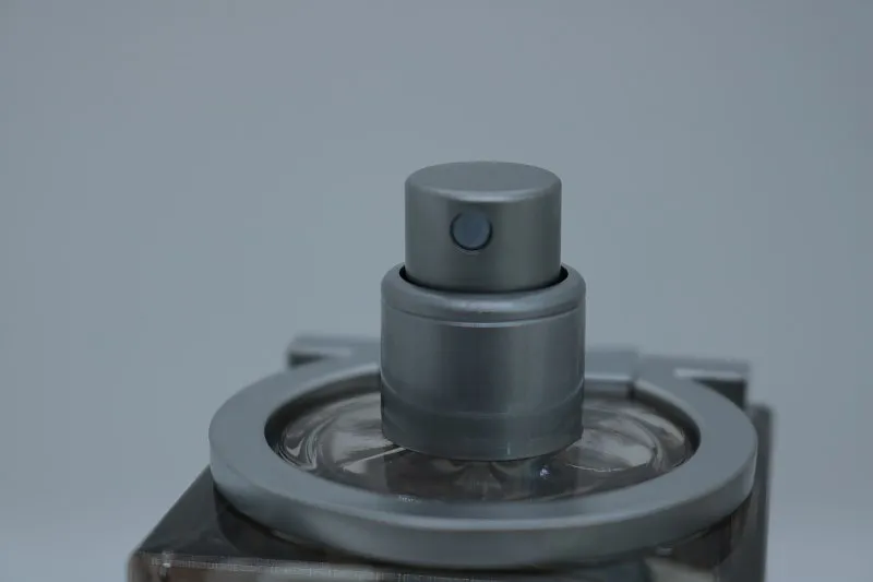 Salvatore Ferragamo Ferragamo Bright Leather туалетная вода