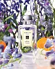 Jo Malone Wild Bluebell одеколон
