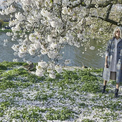 Burberry Burberry Her Blossom
