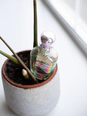 Salvatore Ferragamo Amo Ferragamo Flowerful