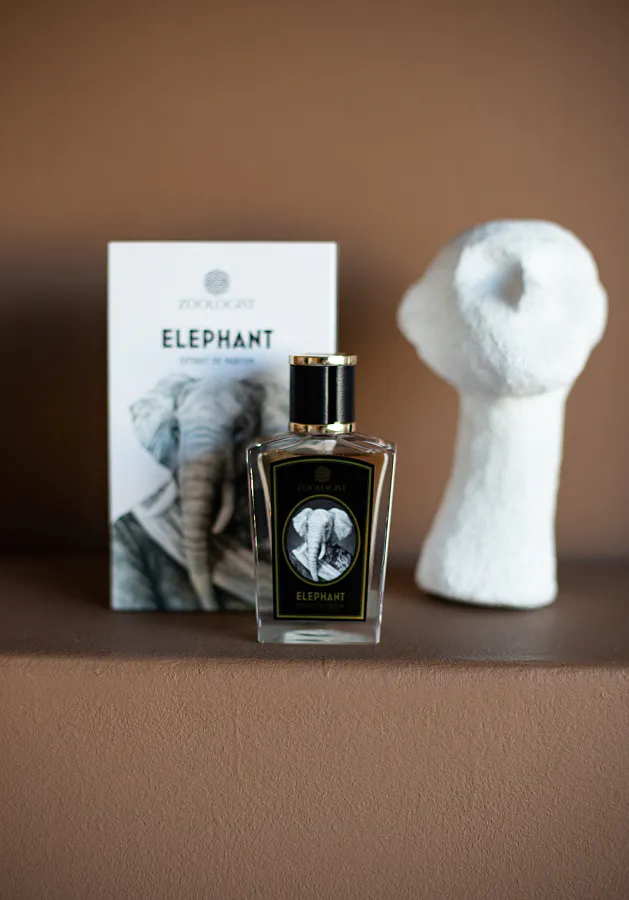 Zoologist Elephant