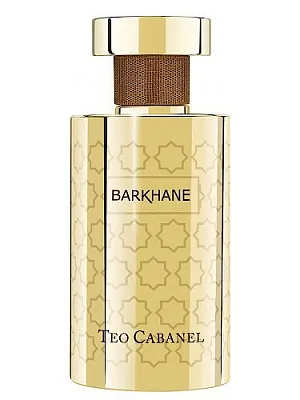 Teo Cabanel Barkhane