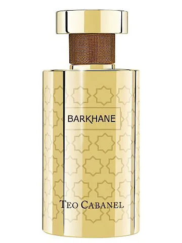 Teo Cabanel Barkhane