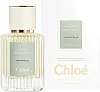 Chloe Immortelle