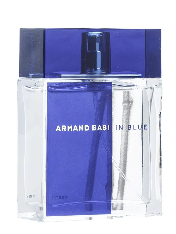 Armand Basi In Blue