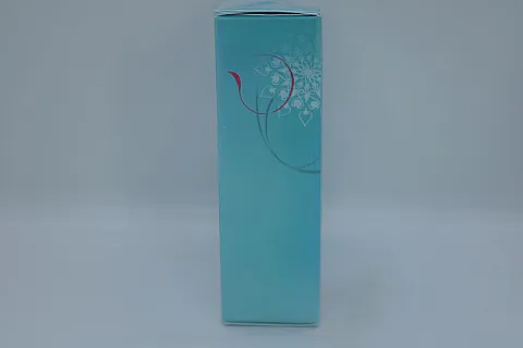 Salvatore Ferragamo Incanto Charms
